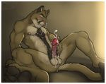  3_toes abs amwulf anthro anus balls biceps biting_lip black_fur black_hair blush body_hair border brown_fur chest_tuft claws clenched_teeth cougar cum cum_on_balls cum_on_chest cum_on_face cum_on_hand cum_on_penis cum_on_self cum_on_stomach cumshot dripping erection fangs feline fur gradient_background green_eyes hair hairy half-closed_eyes happy_trail hindpaw humanoid_penis male mammal masturbation muscles nipples nude orgasm pawpads paws pecs penis pink_nose plain_background pose pubes shaded sheath simple_background sitting smile soles solo spread_legs spreading teeth toe_claws toes tuft white_border 