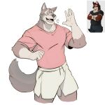 1:1 5_fingers anthro bandage bandage_on_face bandage_on_nose biped bottomwear cheek_tuft chest_tuft clothed clothing countershade_arms countershade_face countershade_fur countershade_neck countershading curved_tail dark_nose echo_(game) echo_(series) echo_project emanata eyebrows facial_tuft fangs fingers fluffy fluffy_tail fully_clothed fur guide_lines head_tuft hi_res humanoid_hands leo_alvarez looking_forward male multicolored_body multicolored_fur open_mouth open_smile pockets pointy_ears portrait prick_ears purtropos raised_arm red_body red_clothing red_fur red_shirt red_tail red_topwear reference_image shirt shorts simple_background simple_coloring sketch smile solo standing tail tan_body tan_bottomwear tan_clothing tan_eyebrows tan_fur tan_shorts teeth three-quarter_portrait three-quarter_view tongue topwear tuft white_background yellow_eyes