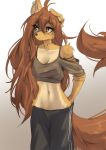 2026 absurd_res anthro apogee_(tinygaypirate) biped bottomwear breasts canid canine canis clothed clothed_anthro clothed_female clothing countershade_torso countershading digital_drawing_(artwork) digital_media_(artwork) domestic_dog female front_view fully_clothed fully_clothed_anthro fully_clothed_female fur hair hi_res mammal navel piercing simple_background solo standing tail tattoo tinygaypirate topwear