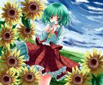  ascot blush cloud day envelope field flower green_hair kazami_yuuka letter long_sleeves love_letter oumi_hi plaid plant red_eyes short_hair skirt sky solo standing sunflower touhou 