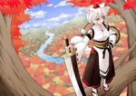  animal_ears buckler detached_sleeves fuuzasa geta hat inubashiri_momiji kourindou_tengu_costume looking_at_viewer river scenery shield short_hair solo sword tail tengu-geta tokin_hat touhou tree weapon white_hair wide_sleeves wolf_ears wolf_tail youkai_mountain 