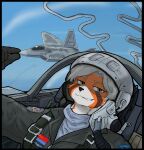 absurd_res ailurid ambiguous_gender anthro armor chengdu_j-20 f-22_raptor hair headgear helmet hi_res jinn-luo-shen lockheed_martin looking_at_viewer mammal pilot pinch red_panda smug solo stazy_wassy white_hair