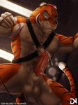  balls biceps big_muscles blue_eyes bondage_gear cum dream_and_nightmare dripping erection feline leather looking_at_viewer male mammal muscles nipples pecs penis solo ticer tiger 