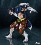  4_toes abstract_background belt black_fur blue_fur brown_fur brown_nose canine claws clothed clothing fluffy_tail fur half-dressed loincloth maglot male mammal nipples open_mouth solo standing teeth toe_claws tongue topless transformation were werewolf white_fur yellow_eyes 
