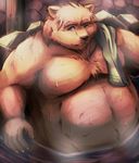  bathhouse bear hot_spring hot_tub kemono male mammal nude overweight solo sweat towel water zen_(kemono_artist) 