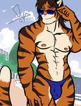  beach bgn biceps bulge eyewear feline male mammal muscles pecs seaside solo speedo sunglasses swimsuit thong tiger underwear 