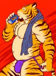  feline jockstrap male solo tiger towel underwear 