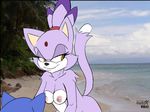  areola aval0nx beach blaze_the_cat breasts cat erect_nipples feline female hair hedgehog imminent_sex male mammal nipples nude outside sea seaside sega smile sonic_(series) sonic_the_hedgehog two_tone_hair water yellow_eyes 