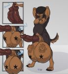  2026 4_toes 5_fingers afro animal_genitalia animal_penis anthro balls belly big_balls black_hair black_nose body_in_urethra body_outline brown_body brown_fur brown_inner_ear_fluff brown_sheath canid canine canine_genitalia canine_penis canis cj_(bigdog9819) claws clenching clenching_balls cock_vore comic dipstick_ears domestic_dog ear_markings erection eyebrows face_imprint feet fingers fully_inside fur genitals hair hand_imprint hi_res huge_balls imprint inner_ear_fluff kiroki knot looking_at_viewer male mammal markings mastiff molosser multicolored_body multicolored_ears multicolored_fur navel nude pawpads penile penis raphe_(anatomy) rottweiler sheath simple_background solo standing star star_(marking) tail toes tuft urethral_bulge vore 