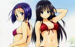  2girls bikini black_hair blue_hair kotegawa_yui long_hair navel sairenji_haruna short_hair swimsuit to_love_ru yabuki_kentarou 