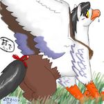  avian beak black_hair blush female feral hair hippogryph kushina13 plain_background solo white_background wings 