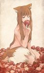  animal_ears apple bad_id bad_pixiv_id bangs barefoot blunt_bangs brown_hair eating food fruit holo long_hair mayo-rang nude one_eye_closed open_mouth red_eyes seiza sitting solo spice_and_wolf tail wolf_ears wolf_tail 