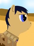  army blue_eyes blue_hair camo desert friendship_is_magic hair male military my_little_pony uniform war 