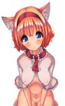  :o alice_margatroid animal_ears bad_id bad_pixiv_id blonde_hair blue_eyes blush bottomless breasts capelet cat_ears covered_nipples cream_(nipakupa) hairband highres kemonomimi_mode large_breasts looking_at_viewer navel pussy short_hair simple_background solo touhou white_background 