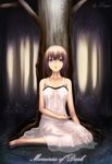  absurdres breasts brown_hair bug butterfly dress highres insect medium_breasts open_mouth original purple_eyes see-through short_hair sitting solo transparent tree water wei_ji 