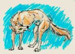  abstract_background animal_genitalia animal_penis canid canine canine_genitalia canine_penis canis colored_sketch coyote crayon_(artwork) feral genitals guide_lines male mammal marker_(artwork) pen_(artwork) penis penis_tip regsmutt sheath sketch solo thrust_lines thrusting tongue tongue_out traditional_media_(artwork) 