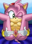  amy_rose anus butt first_person_view green_eyes hamme nokcix pussy sega sonic(series) sonic_(series) vaginal viewer 