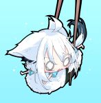  1girl absurdres ahoge animal_ears blue_background blue_shirt blush chibi chibi_only chopsticks commentary_request food fox_ears fox_girl fox_tail from_side full_body highres hololive huge_ahoge ikamoworkshop lying messy_hair mini_person minigirl on_food on_stomach open_mouth scared shirakami_fubuki shirt simple_background solo sushi tail tears white_hair 