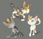  :3 alternate_fur_color animal_focus blue_eyes calico_(pattern) calico_cat cat coin commentary_request gold green_eyes grey_background koban_(gold) meowth multiple_cats nyala_(nyala_766) pokemon pokemon_(creature) pokemon_focus simple_background slit_pupils tabby_cat whiskers white_cat 