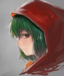  absurdres bad_id bad_pixiv_id colored_eyelashes face green_hair grey_background highres hood kazami_yuuka light_smile looking_at_viewer orange_eyes profile short_hair sideways_glance simple_background sola7764 solo touhou 