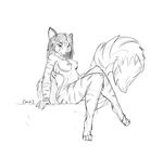  feline female koh mammal monochrome nude sketch solo 