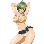  1girl :o antenna_hair armpits arms_behind_head black_skirt blue_eyes blush breasts cleavage collarbone contrapposto cowboy_shot embarrassed game_asset green_hair hair_between_eyes ikkitousen ikkitousen_extra_burst kyocho_chuukou_(ikkitousen) large_breasts looking_at_viewer navel non-web_source official_art open_mouth panties self-datamine short_hair simple_background skirt sleeveless solo spaghetti_strap striped_tank_top tank_top torn_clothes torn_skirt torn_tank_top transparent_background underwear white_panties yellow_tank_top 