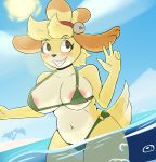  animal_crossing areola azlech beach bikini blush breasts camel_toe canid canine canis clothing cloud dipstick_tail domestic_dog female isabelle_(animal_crossing) mammal multicolored_tail navel nintendo peace_sign_(disambiguation) seaside shih_tzu slightly_chubby smile solo sun swimsuit video_games water 