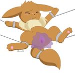  blush bondage bound canine cervix ditto eevee eyes_closed female feral forced fox gaping gaping_pussy goo mammal mysterious_mew nintendo pok&#233;mon pok&eacute;mon pussy rape spread_legs spread_pussy spreading tail_bondage teeth tooth video_games 