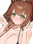  1girl amepa_(ame_pinecandy) animal_ears aston_machan_(umamusume) bikini black_bikini blush breasts brown_hair cleavage closed_mouth commentary_request green_eyes hair_between_eyes hair_ornament hair_scrunchie highres horse_ears horse_girl large_breasts looking_at_viewer medium_hair one_side_up red_scrunchie scrunchie simple_background smile solo swimsuit umamusume upper_body white_background 