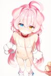  1girl absurdres ahoge animal_collar animal_ears animal_hands bikini blue_archive bow collar commentary dog_ears flat_chest gloves hair_bow halo heterochromia highres holding holding_leash hoshino_(blue_archive) huge_ahoge human_dog leash long_hair looking_at_viewer low_twintails paw_gloves pet_play pink_hair pink_halo pov side-tie_bikini_bottom solo string_bikini swimsuit thighhighs twintails user_fspu2277 viewer_holding_leash white_background white_bikini white_thighhighs 