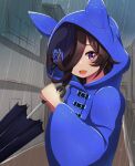  1girl absurdres animal_ears blue_flower blue_hat blue_raincoat blue_rose blush brown_hair cloud cloudy_sky commentary_request flipped_hair flower hair_over_one_eye hat hat_flower highres holding holding_umbrella hood hood_up hooded_coat horse_ears horse_girl katsushika_yuki long_hair long_sleeves looking_at_viewer open_mouth outdoors purple_eyes rain raincoat rice_shower_(umamusume) rose sky smile solo tilted_headwear umamusume umbrella 