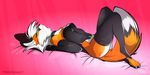  4_toes anthro canine claws clothed clothing collar corset cute female fox fur hair hindpaw lying mammal nude on_back orange_fur paws pink pink_background plain_background skimpy solo toes tridognait white_hair 