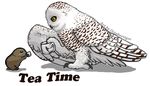  avian black_eyes brown_fur claws cup feathers feral fur lemming mammal octobertiger owl plain_background rodent snowy_owl steam wings yellow_eyes 