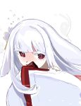  1girl @_@ ^^^ animal_ears blunt_bangs blush commentary_request covering_own_mouth embarrassed floppy_ears flower hair_flower hair_ornament head_steam highres japan_(kokkimusume) kokkimusume long_hair long_sleeves looking_at_viewer lop_rabbit_ears nervous_sweating open_mouth personification ra_(ppfjvdjudk54073) rabbit_ears raised_inner_eyebrows red_eyes sidelocks simple_background sleeves_past_fingers sleeves_past_wrists solo sweat thick_eyelashes upper_body wavy_mouth white_background white_hair white_sleeves wide_sleeves 