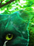  cat close-up feline fur green_fur mammal octobertiger translucent tree wood yellow_eyes 