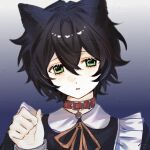  1boy :o aegyo_sal animal_ears belt_collar black_hair black_shirt blue_background cat_boy cat_ears chinese_commentary collar collared_shirt commentary_request degrees_of_lewdity dot_nose double-parted_bangs gradient_background green_eyes guangdong_zenme_name_re hair_between_eyes hand_up head_tilt kemonomimi_mode kylar_(degrees_of_lewdity) kylar_(male)_(degrees_of_lewdity) long_sleeves looking_at_viewer male_focus neck_ribbon orange_ribbon parted_lips paw_pose peter_pan_collar red_collar ribbon shirt short_hair simple_background solo straight-on watermark 