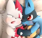  ???? black_eyes blue_fur blush canine claws eye_contact fangs fur hug jackal lucario lying mammal markings mongoose nekokagebevil nintendo open_mouth pok&#233;mon pok&eacute;mon red_eyes red_markings spikes teeth tooth video_games white_fur zangoose 