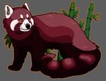  bamboo feral fur mammal octobertiger orange_eyes plain_background red_fur red_panda rosa smile white_fur 
