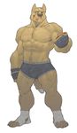  anthro bandage biceps big_muscles blood blue_eyes brown_fur bulge canine claws clothed clothing ear_piercing fighter flexing fur gloves half-dressed male mammal mma muscles nipples pecs piercing scar short shorts solo standing thewielder toe_claws topless ufc wolf wrestler 