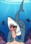 2026 absurd_res anthozoan anthro aquatic blue_body cnidarian coral duo erection fellatio female fin fish genitals glans glistening glistening_genitalia glistening_penis grey_body hand_on_penis hi_res human human_on_anthro interspecies kingdorkster licking male male/male mammal multicolored_body nude open_mouth open_smile oral penile penis penis_lick rock sex shark signature smile snout solo tail tail_fin tongue tongue_out two_tone_body underwater water
