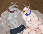2026 abs animal_genitalia anthro anthro_on_anthro artist_name balls big_balls biped blue_collar blush canid canine canis chest_tuft closed_smile clothed clothed/nude clothing collar collar_only digital_drawing_(artwork) digital_media_(artwork) duo egg_concept erection erection_under_clothing eyes_closed facial_tuft fur genitals glistening glistening_balls glistening_genitalia glistening_pecs hand_on_another's_leg hand_on_another's_thigh hand_on_leg hand_on_thigh hi_res jerry_(lookout3d) looking_at_another male male/male male_anthro mammal microsoft minecraft mojang mouth_closed muscular muscular_anthro muscular_male navel nipples nude nude_anthro nude_male pecs penis penis_tip red_collar sheath smile tail tail_motion tailwag text tom_(lookout3d) topless topless_anthro topless_male tuft wide_eyed wolf xbox_game_studios