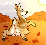 animal_genitalia animal_vulva anus autumn_leaves crotch_breasts deer female feral genitals glistening glistening_genitalia hooves looking_at_viewer looking_back looking_back_at_viewer lying mammal nervous_look nipples on_front outside pink_genitals pink_nipples puffy_anus rear_view saberbutt scut_tail short_tail simple_background solo spread_legs spreading tail teats vulva