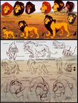  ahadi claws consort cub disney djcoulz feline fur green_eyes lion male mane model_sheet mufasa scar_(the_lion_king) tail_tuft the_lion_king yellow_fur young 