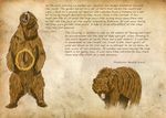  creature english gen_2_pokemon michael_casteel no_humans pokemon pokemon_(creature) realistic teddiursa text_focus ursaring 