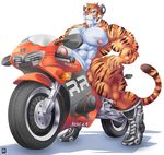  abs anthro biceps black_fur body_markings boots bottomless chest_tuft clenched_teeth clothed clothing fangs feline flexing footwear fur half-dressed looking_at_viewer male mammal markings motorcycle muscles nipples nude orange_fur pecs penis plain_background pose ressie sitting solo stripes teeth tiger topless tuft vehicle white_background white_fur 