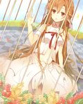  asuna_(sao) birdcage brown_eyes brown_hair cage checkered checkered_floor choker dress ear_covers elf flower long_hair petals pointy_ears solo sword_art_online sxupxdxxy titania_(sao) very_long_hair 