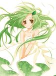  bad_id bad_pixiv_id copyright_request green_hair long_hair reina_(black_spider) solo 