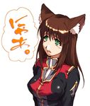  animal_ears breasts brown_hair cat_ears fang green_eyes hisahiko large_breasts long_hair setsuko_ohara slit_pupils solo super_robot_wars super_robot_wars_z 