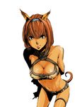  animal_ears artist_request blue_eyes breasts brown_hair covered_nipples final_fantasy final_fantasy_xi large_breasts mithra solo tail 