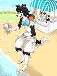  beach black_hair bra canine clothing dog female hair ice_cream jailbird male mammal raccoon sea seaside shirt short_pants underwear water 